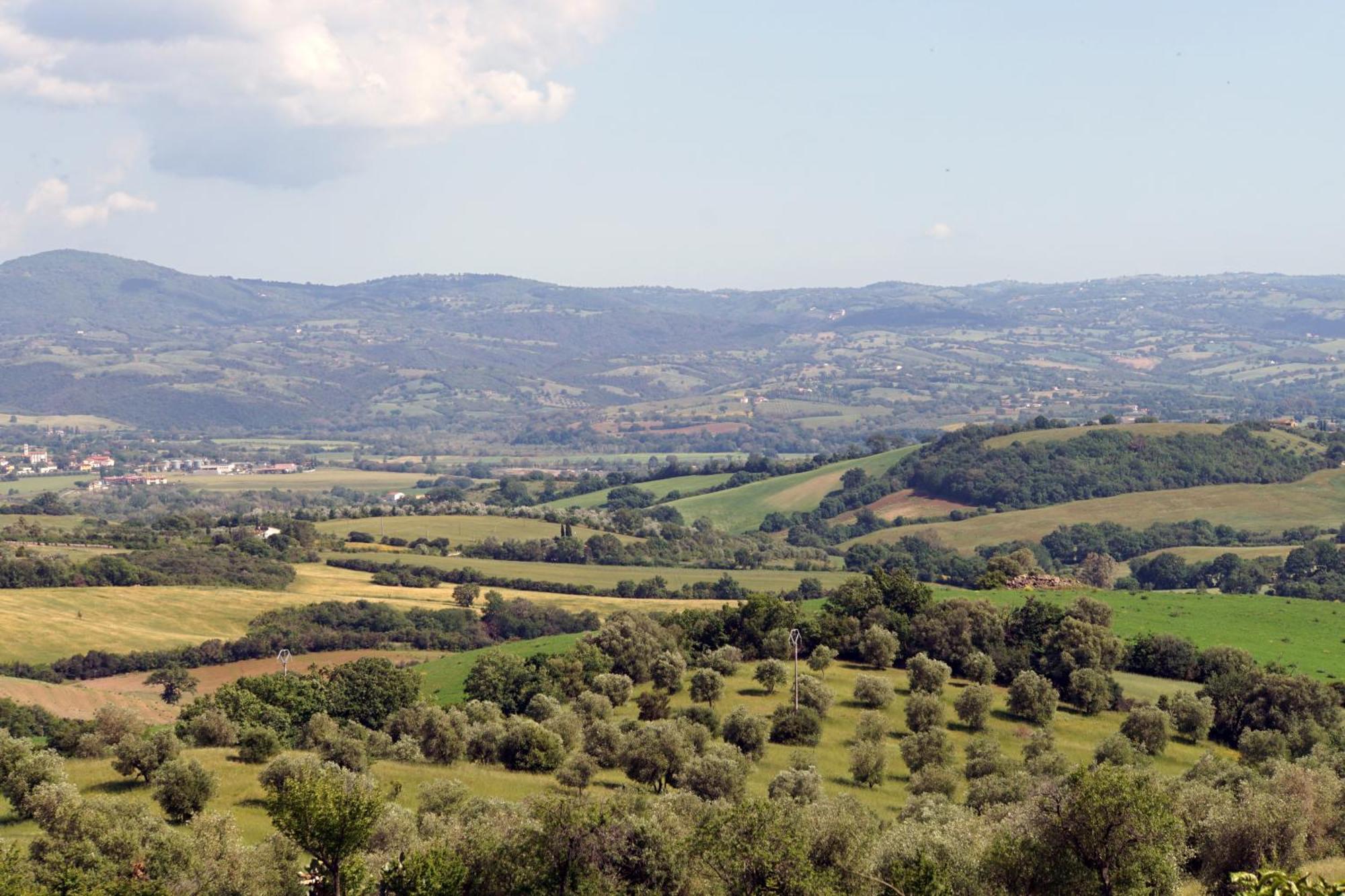 Marrucheti 82 Alojamento de Turismo Rural Campagnatico